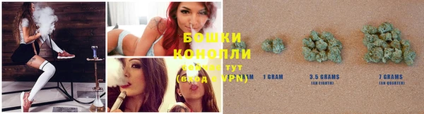 ГАЛЛЮЦИНОГЕННЫЕ ГРИБЫ Беломорск