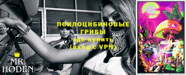 дживик Белоозёрский