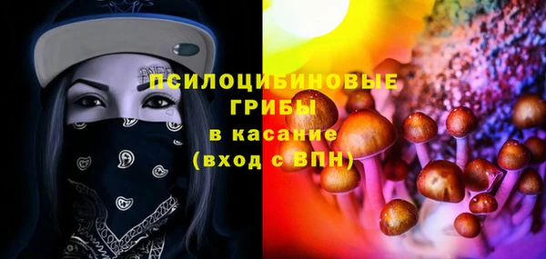 дживик Белоозёрский
