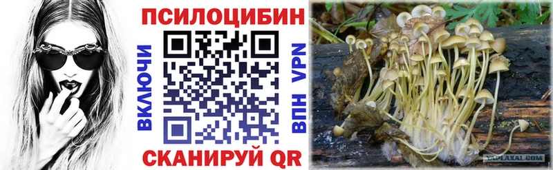 MEGA сайт  Белоозёрский  Псилоцибиновые грибы Psilocybe  дарнет шоп 